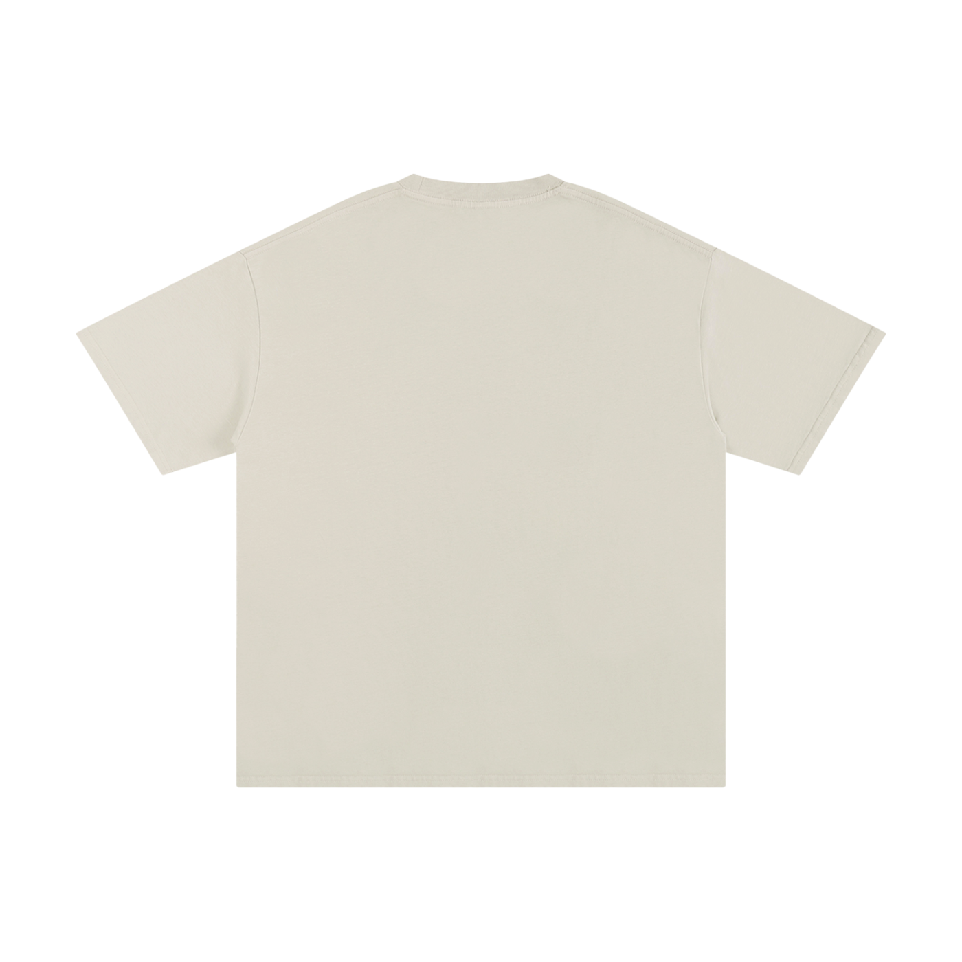 REGULAR FIT T-SHIRT